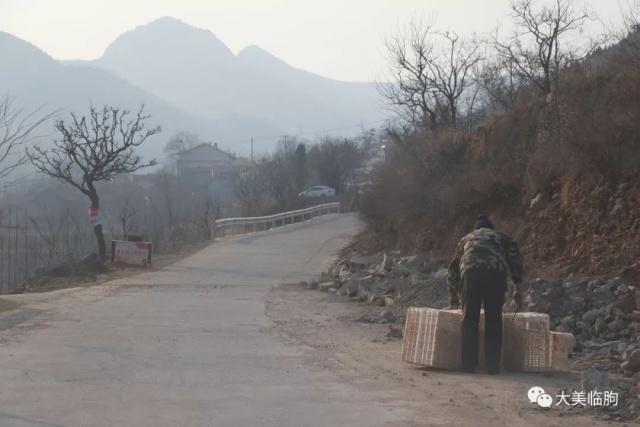 临朐县五井镇gdp_五井镇地图 五井镇卫星地图 五井镇高清航拍地图(2)