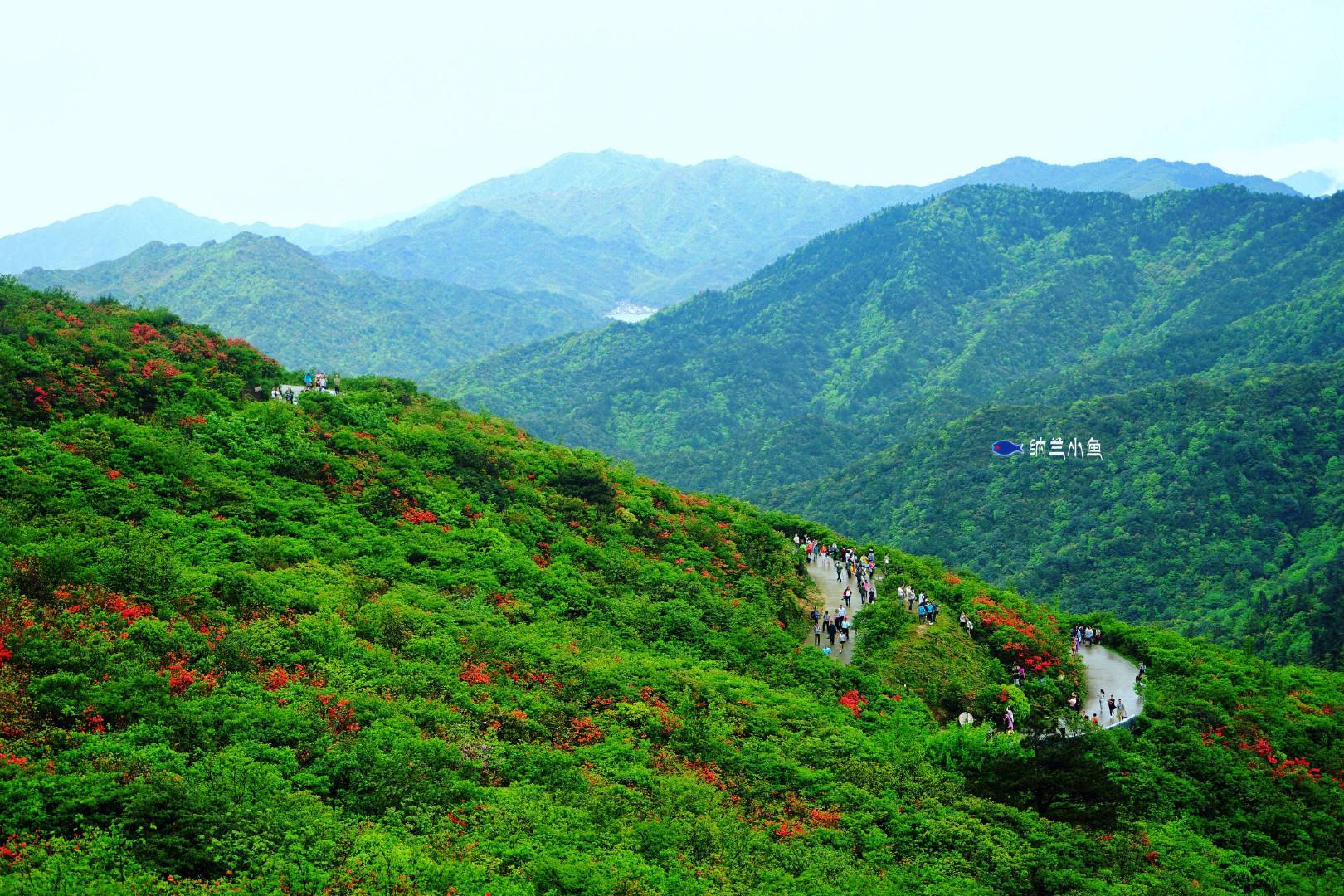 湖南阳明山国家森林公园风景 - 永州论坛 - 华声论坛