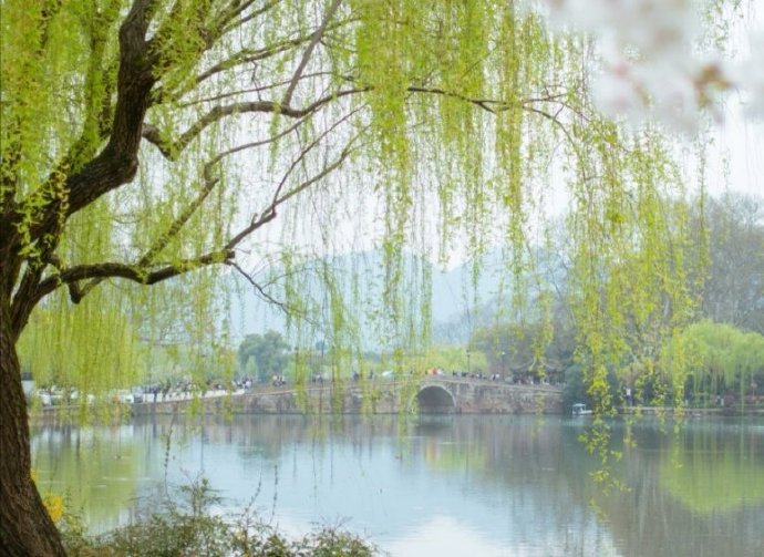 碧玉妆成一树高,万条垂下绿丝绦