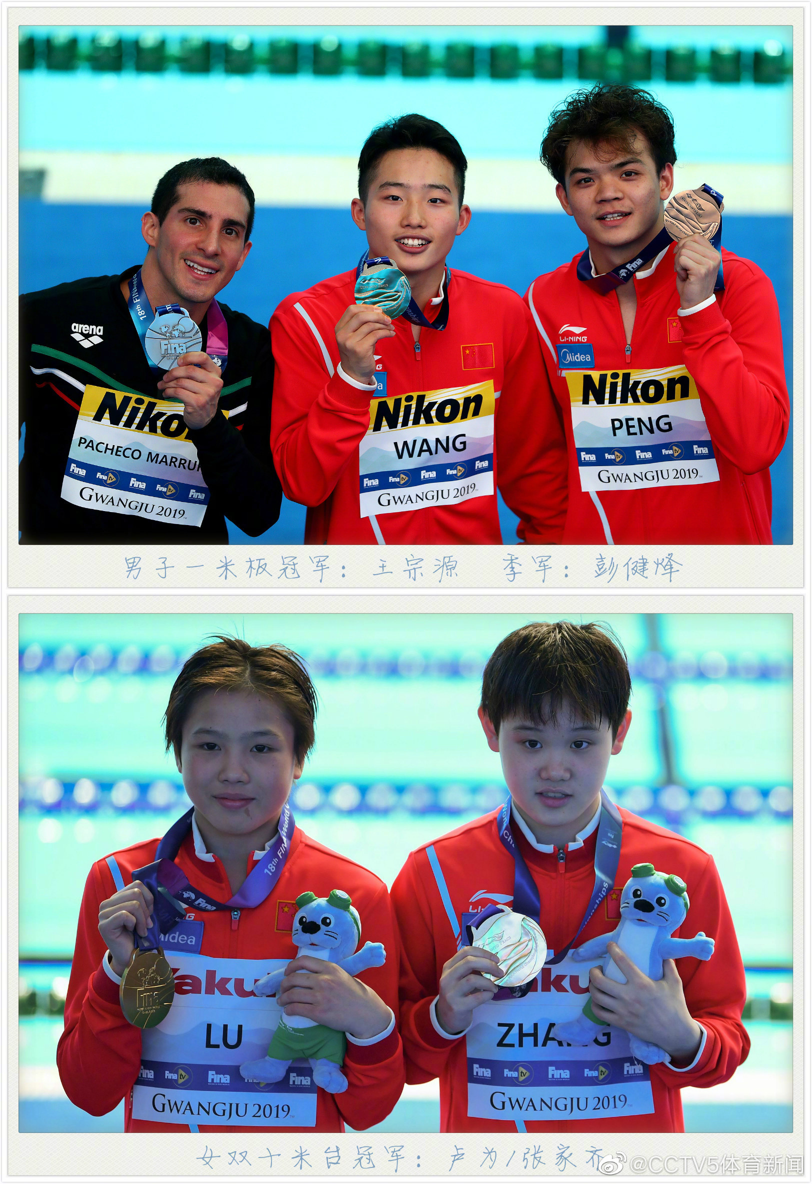 12金!厉害了!我们的跳水梦之队