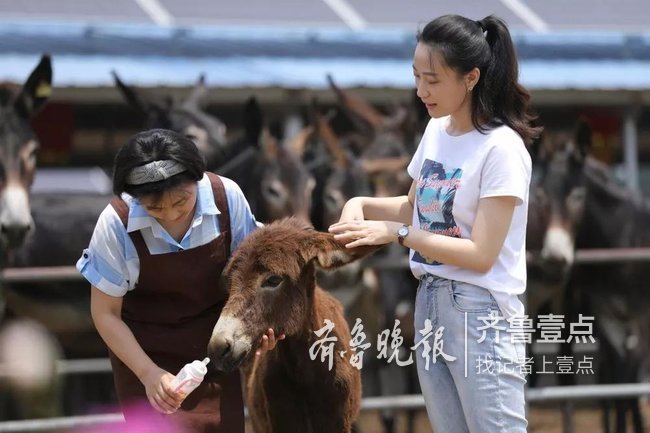 在黄河v初心的初心《电影照院线》城市东阿上映啦快播龙之谷电影完整版图片