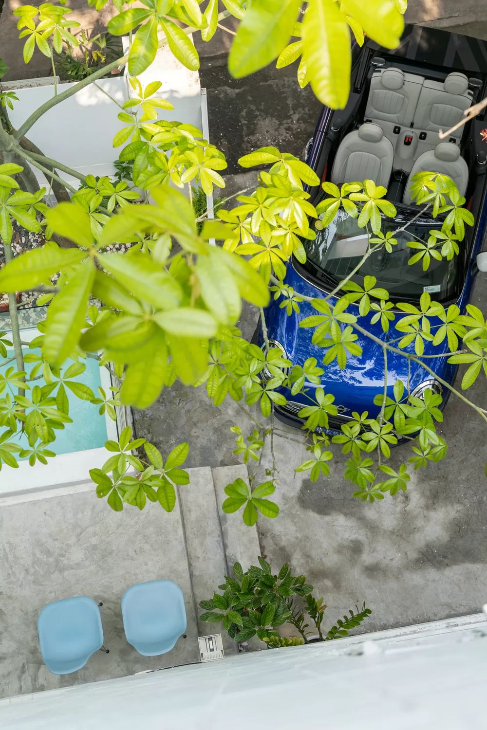 解锁2019初春周末最in玩法--MINI 携手爱彼迎,撩动你的心!