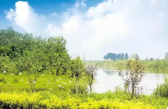 南京竟然有个世外桃源般的神仙岛屿,堪比济州岛! 南京竟然有个世外桃源般的神仙岛屿,堪比济州岛!