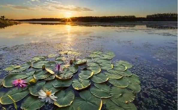 南京竟然有个世外桃源般的神仙岛屿,堪比济州岛! 南京竟然有个世外桃源般的神仙岛屿,堪比济州岛!
