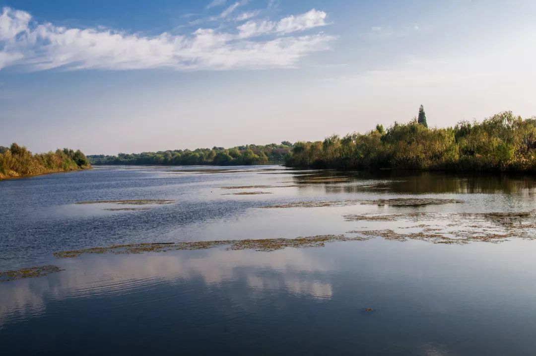 南京竟然有个世外桃源般的神仙岛屿,堪比济州岛! 南京竟然有个世外桃源般的神仙岛屿,堪比济州岛!