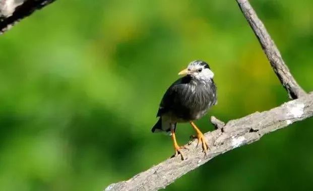 南京竟然有个世外桃源般的神仙岛屿,堪比济州岛! 南京竟然有个世外桃源般的神仙岛屿,堪比济州岛!