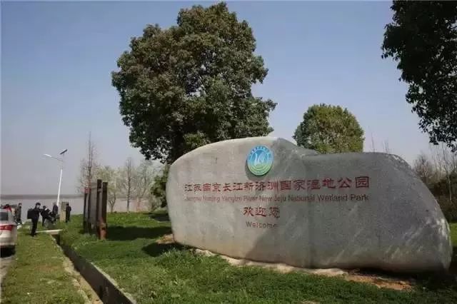 南京竟然有个世外桃源般的神仙岛屿,堪比济州岛! 南京竟然有个世外桃源般的神仙岛屿,堪比济州岛!