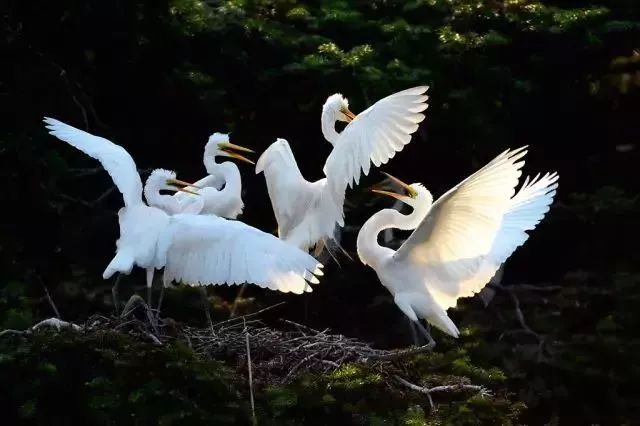 南京竟然有个世外桃源般的神仙岛屿,堪比济州岛! 南京竟然有个世外桃源般的神仙岛屿,堪比济州岛!