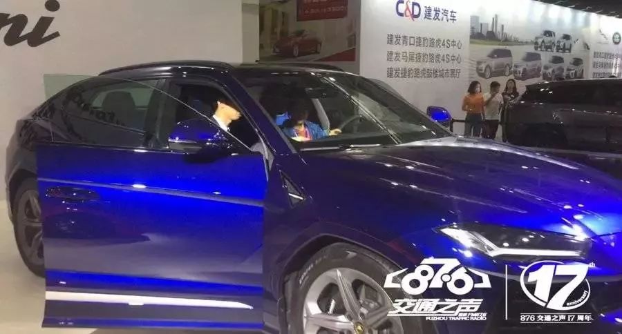 福州五一车展花式秀,最全的亮点都在这里