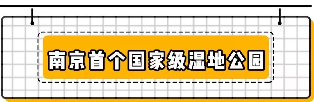 南京竟然有个世外桃源般的神仙岛屿,堪比济州岛! 南京竟然有个世外桃源般的神仙岛屿,堪比济州岛!