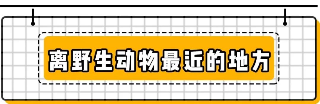 南京竟然有个世外桃源般的神仙岛屿,堪比济州岛! 南京竟然有个世外桃源般的神仙岛屿,堪比济州岛!