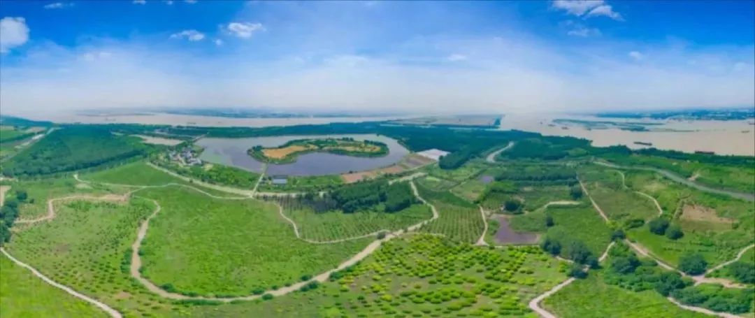 南京竟然有个世外桃源般的神仙岛屿,堪比济州岛! 南京竟然有个世外桃源般的神仙岛屿,堪比济州岛!