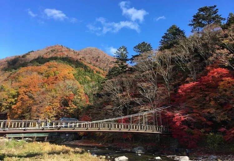 活动日本天皇的后花园那须高原摘草莓温泉交友邂逅和骑马限50人