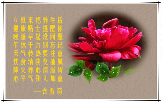 今日立夏,送你一本养生防病手册,照着做,助你轻松入夏