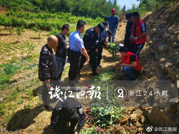 民警查处非法种植罂粟现场。 本文图片 钱江晚报微博