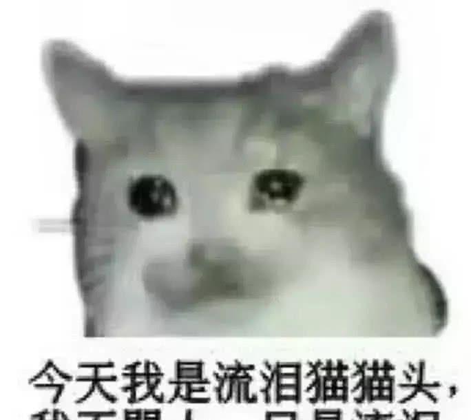 很适合在两个人正要准备生气的时候,一个人突然发了这种表情,想生气都