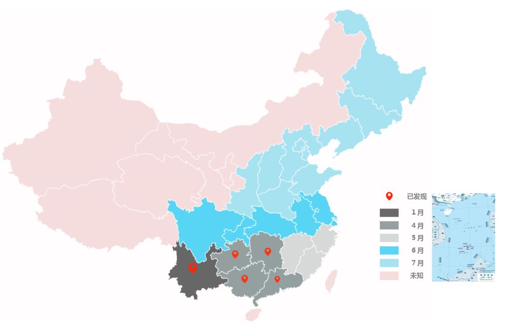 对话专家 | 局面可控！幺蛾子没你想象的那么“妖”