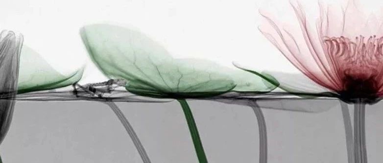 “电动车“必看资讯都在这，你错过了吗