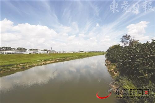 东莞市全面开展石马河国考断面水质达标攻坚行