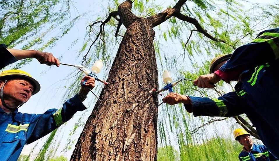 杨絮,你妈喊你回家领盒饭