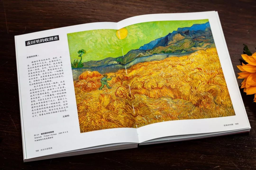 232幅高清画作，世界20大博物馆珍贵资料，著名文学大师余光中倾情解读，一本书看尽梵高一生