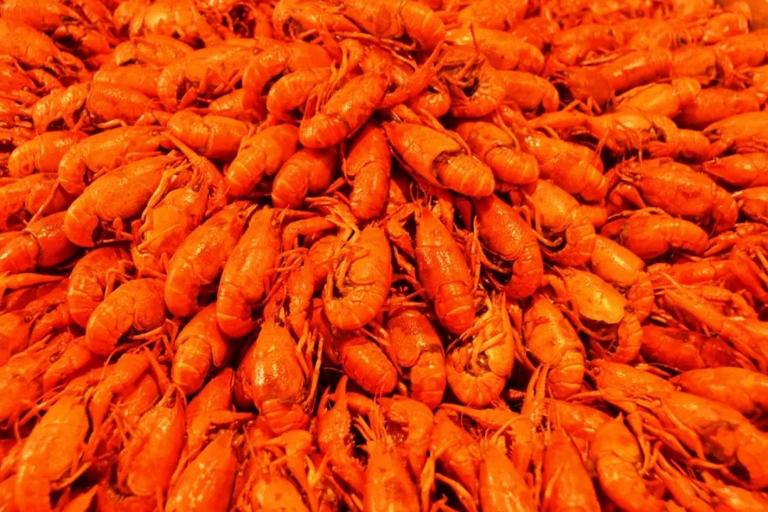 168/位陆家嘴爆出「西班牙铜锅小龙虾」!冰镇、蒜蓉、十三香…6种口味畅吃!大胃王也瑟瑟发抖! ¥168/位 陆家嘴爆出「西班牙铜锅小龙虾」!冰镇、蒜蓉、十三香…6种口味畅吃!大胃王也瑟瑟发抖!