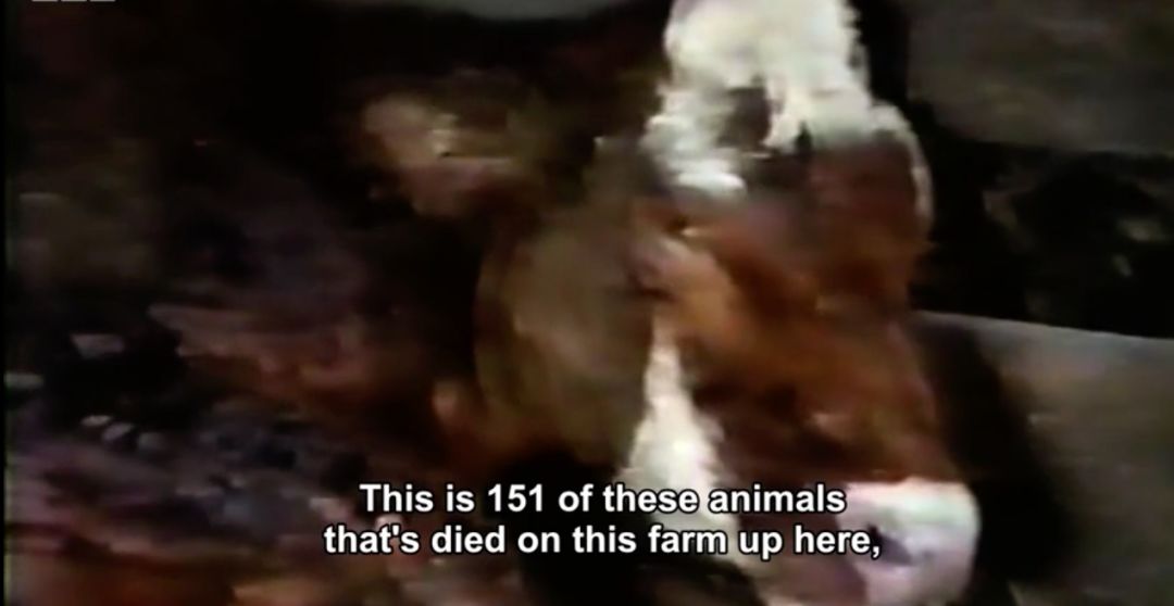 不粘锅，竟然毒害世界60年