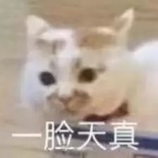 ofo回应共享单车当废铁卖；微信朋友圈第三条广告全量开放 | 三节课1分钟晚报