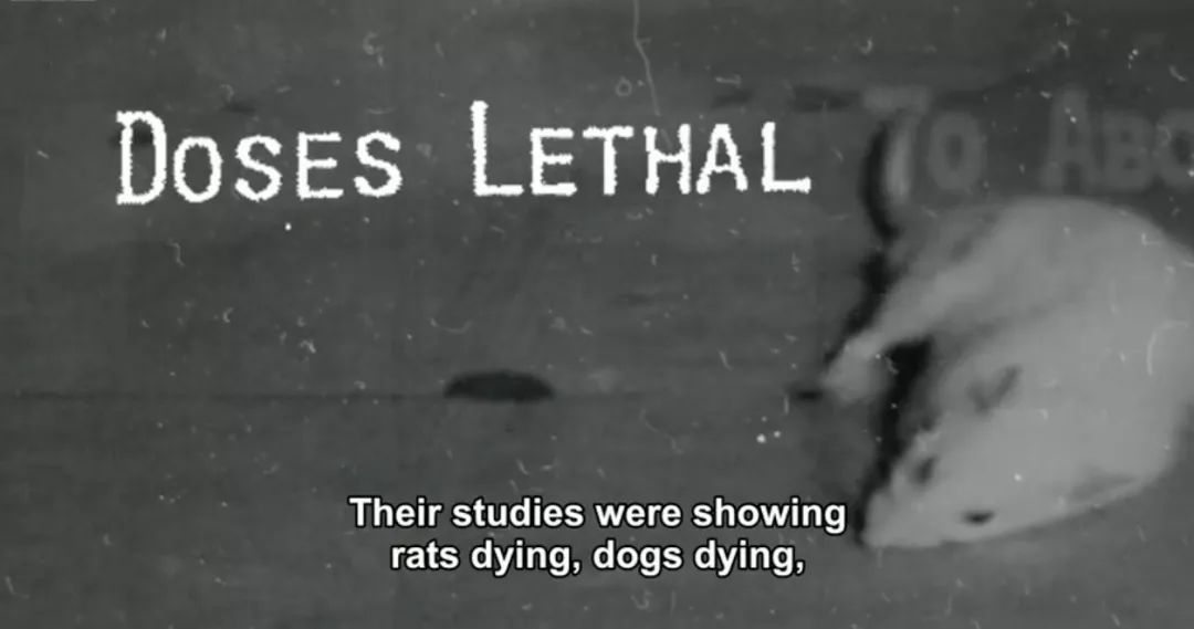 不粘锅，竟然毒害世界60年