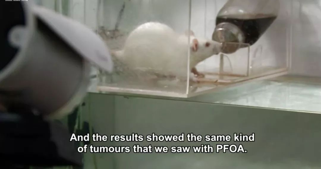 不粘锅，竟然毒害世界60年