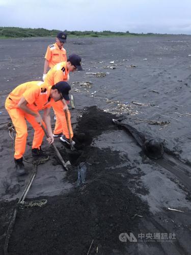 台湾“海巡署”8日下午在宜兰县兰阳溪河口北岸发现鲸豚搁浅死亡，由岸巡人员现地先行掩埋并做记号。（图：台湾“中央社”/“海巡署”第一岸巡队 提供）