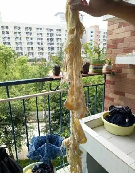 你的室友可以邋遢到什么程度？