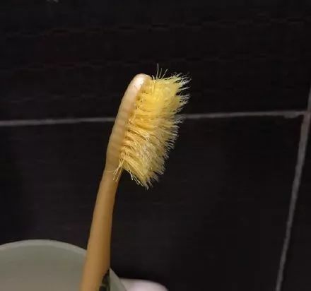 你的室友可以邋遢到什么程度？