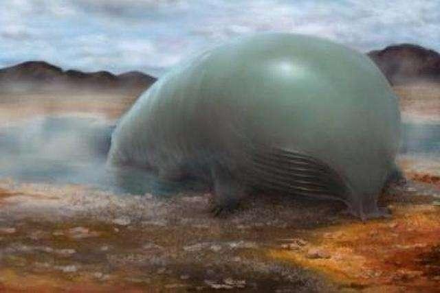 地球生命都是碳基生物,但宇宙或有多类生物,地心也并非生命禁区