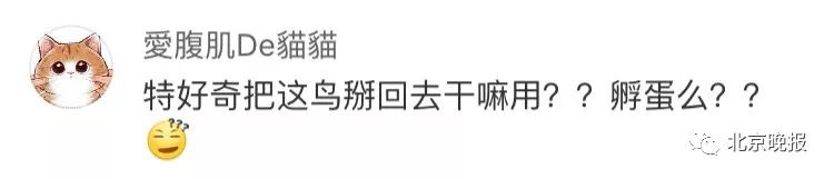 手真欠！世园会里几十只“金色小鸟”被掰走