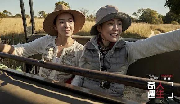 《我们是真正的朋友》预定爆款，找回自己的小S整个人都在发光