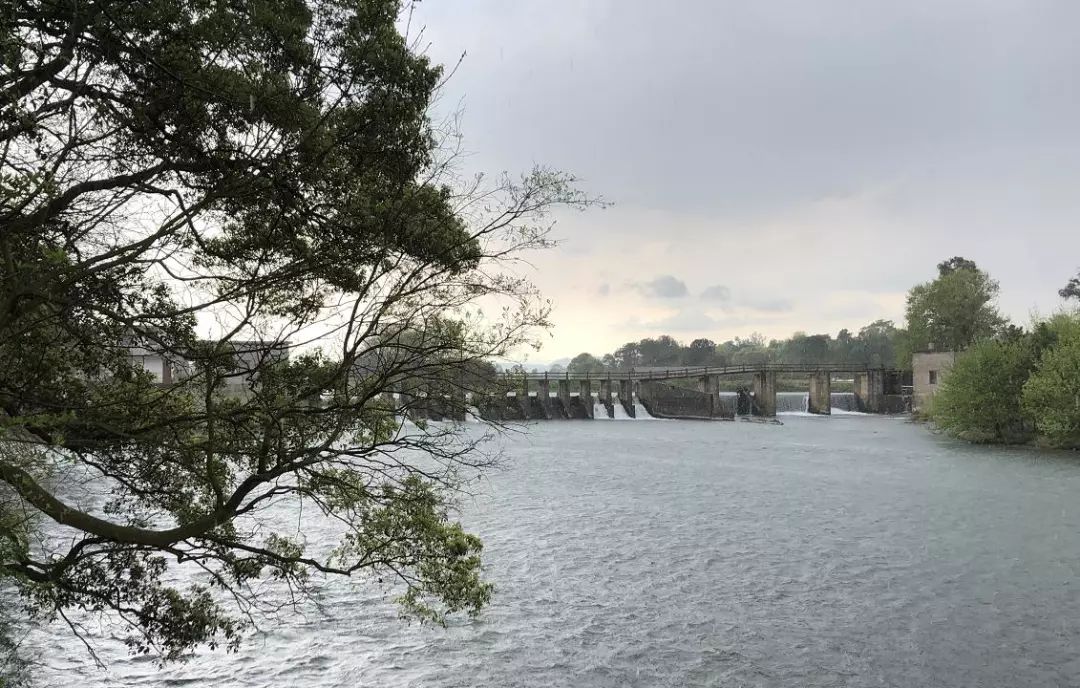 泰和首届小龙虾文化旅游节本周末开启，想吃“霸王虾”的看过来！