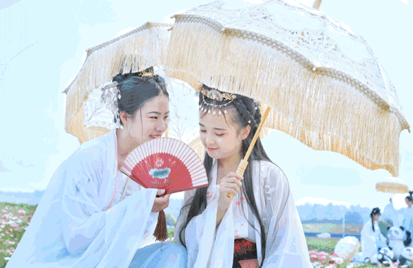 泰和首届小龙虾文化旅游节本周末开启，想吃“霸王虾”的看过来！