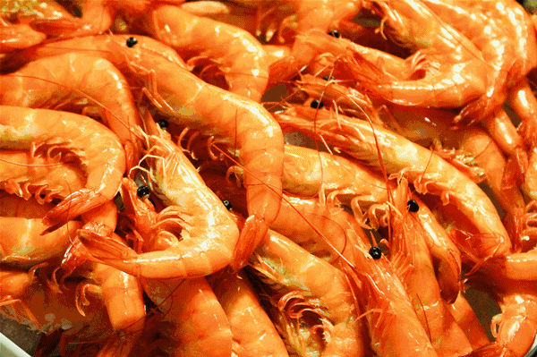 ¥188/位 “露天烧烤 小龙虾”双主题！花园式酒店放大招，6种口味小龙虾轮番刷，青啤、哈根达斯不限量！