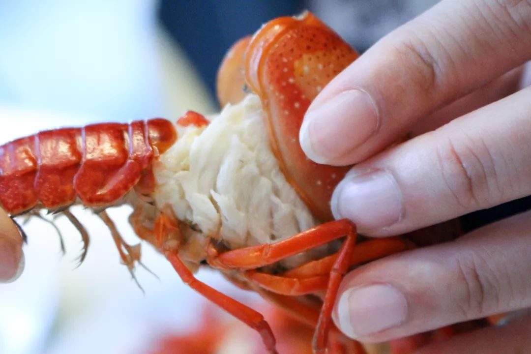 ¥188/位 “露天烧烤 小龙虾”双主题！花园式酒店放大招，6种口味小龙虾轮番刷，青啤、哈根达斯不限量！