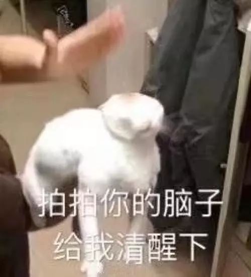 考试时最让你崩溃的场景