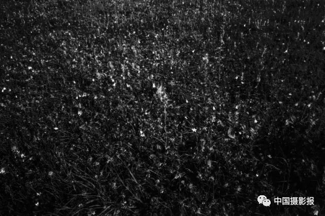 展讯 | 近期好展推荐