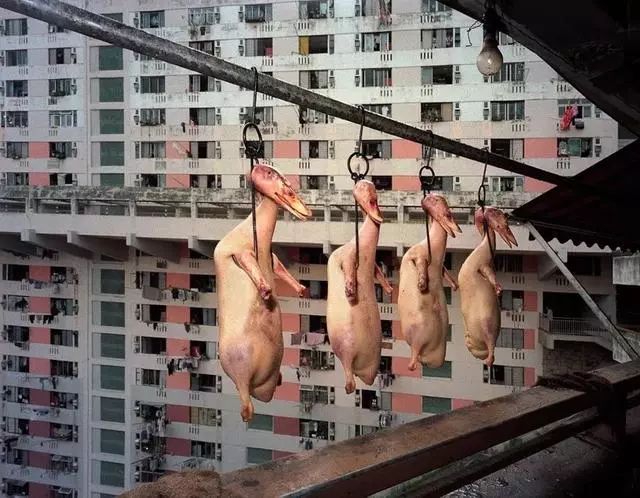 他用25年，拍下香港最真实的一面