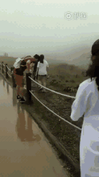 #每日有趣GIF图#感受到了2哈莫名的杀气