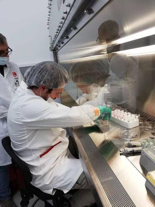 在太空中，寻找延缓衰老的秘诀