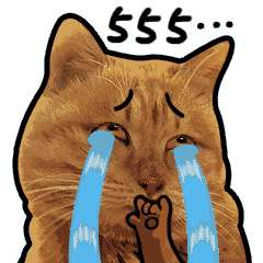 别人花了几千的冰点脱毛，我用了不到一百块就做到了！