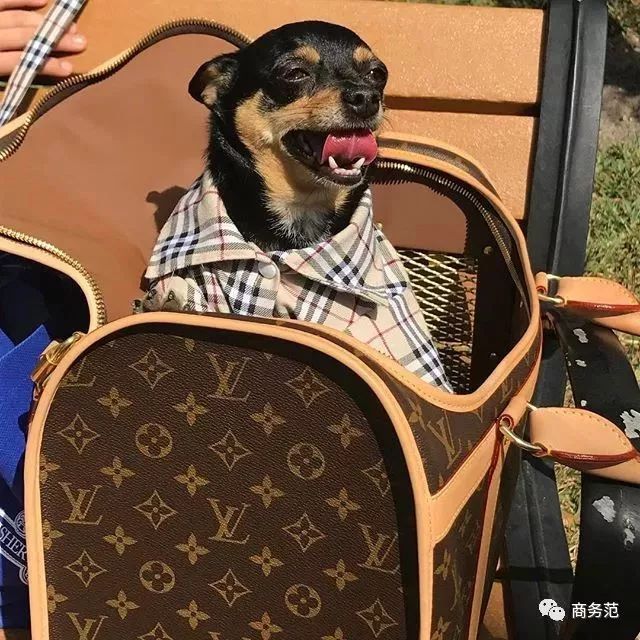 假装富二代的人，套路有多深