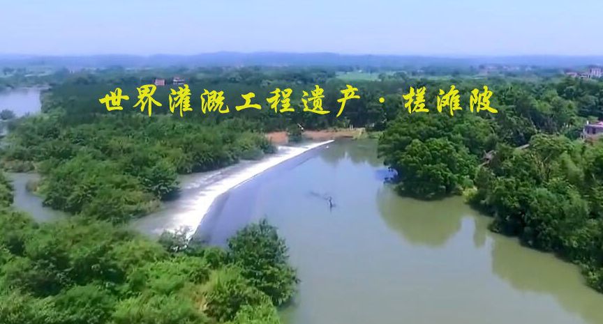 泰和首届小龙虾文化旅游节本周末开启，想吃“霸王虾”的看过来！