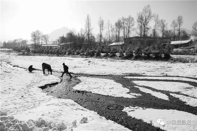 作品 | 为何·渭河