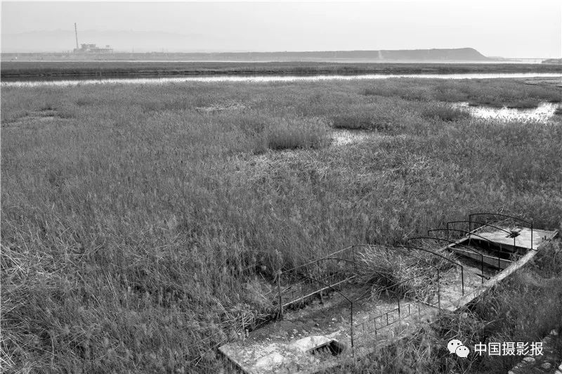 作品 | 为何·渭河